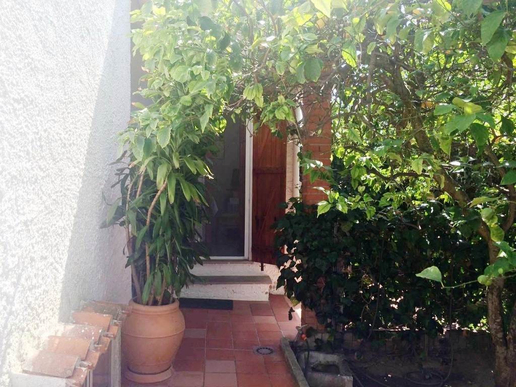 Ingresso